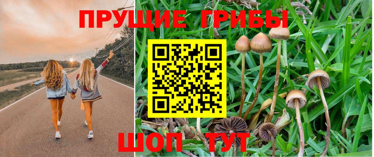Псилоцибиновые грибы мухоморы  Вход с VPN  Барабинск 