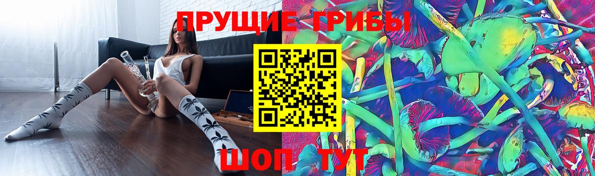 Галлюциногенные грибы Psilocybine cubensis Барабинск